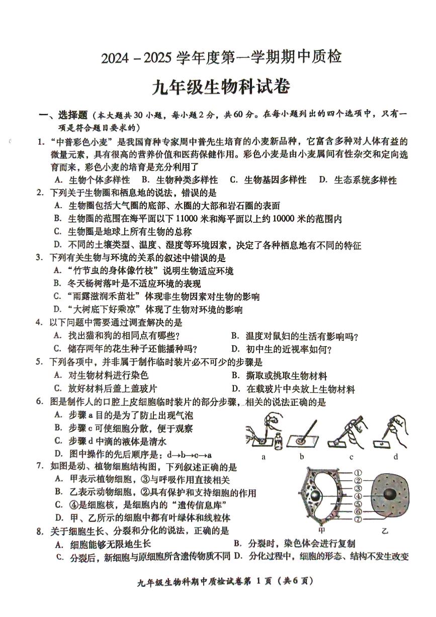 广东省揭阳市榕城区2024-2025学年九年级上学期11月期中生物试题