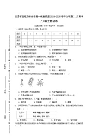 江蘇省鹽城市東臺市第一教育聯(lián)盟2024-2025學年八年級上學期11月期中生物試題