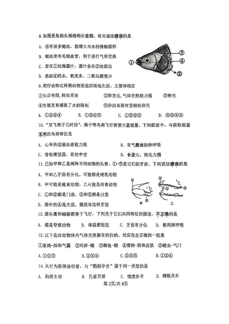 2024-2025中山市共进联盟八年级上期中考试生物试卷第2页