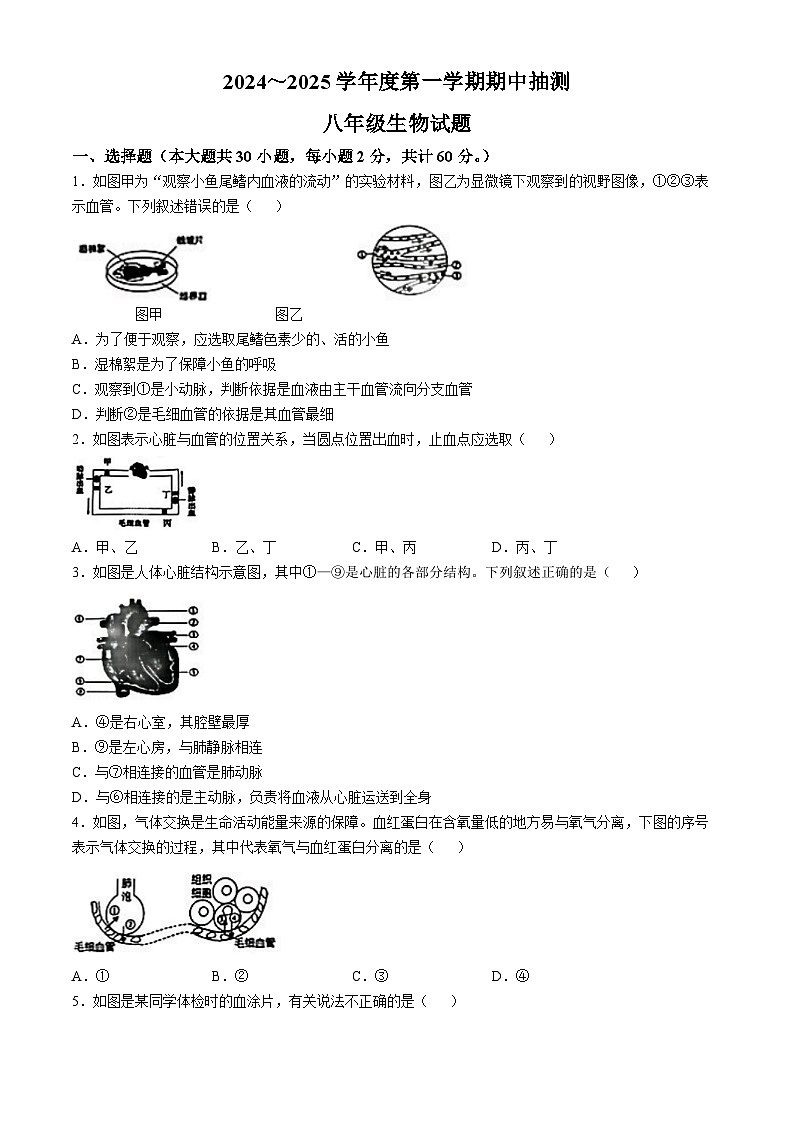 江苏省徐州市新沂市2024-2025学年八年级上学期期中生物试题第1页