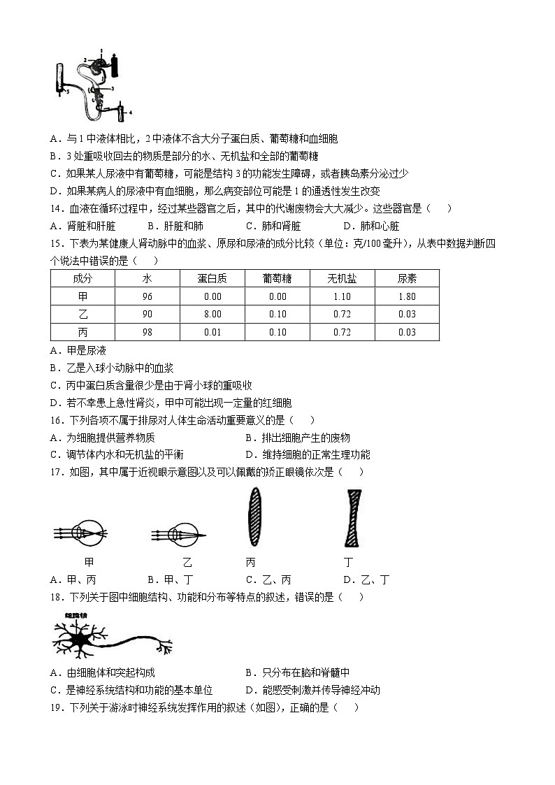 江苏省徐州市新沂市2024-2025学年八年级上学期期中生物试题第3页
