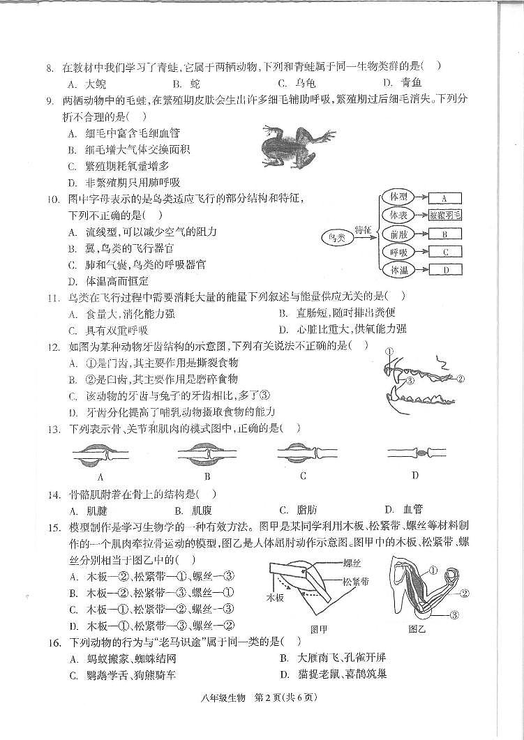 湖南省邵阳市隆回县2024—2025学年八年级上学期期中生物考试试卷02