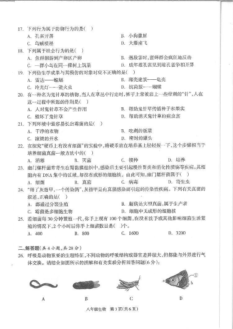湖南省邵阳市隆回县2024—2025学年八年级上学期期中生物考试试卷03