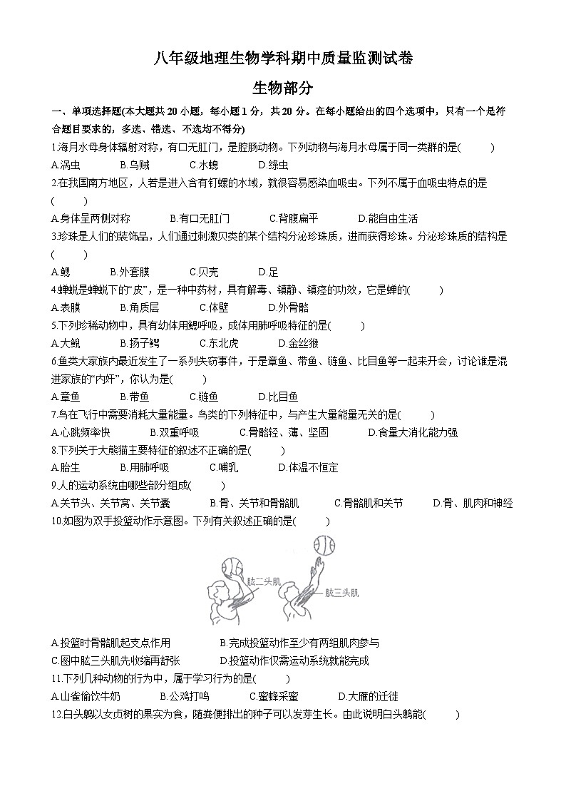 江西省上饶市广信区2024-2025学年八年级上学期期中生物学试题01