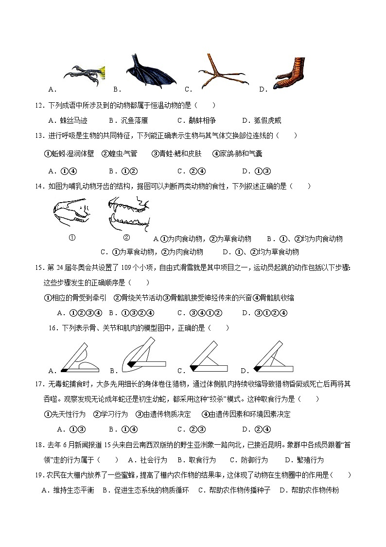 湖南省长沙市宁乡市西部乡镇2024-2025学年八年级上学期11月期中生物试题02