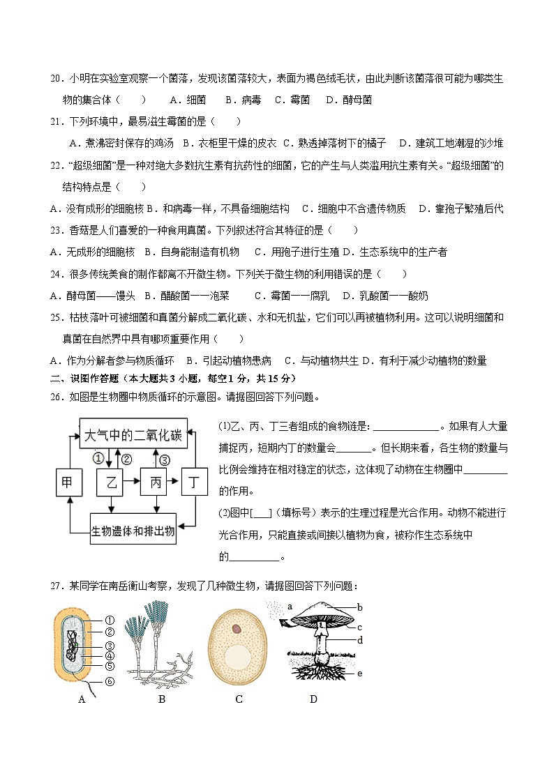 湖南省长沙市宁乡市西部乡镇2024-2025学年八年级上学期11月期中生物试题03