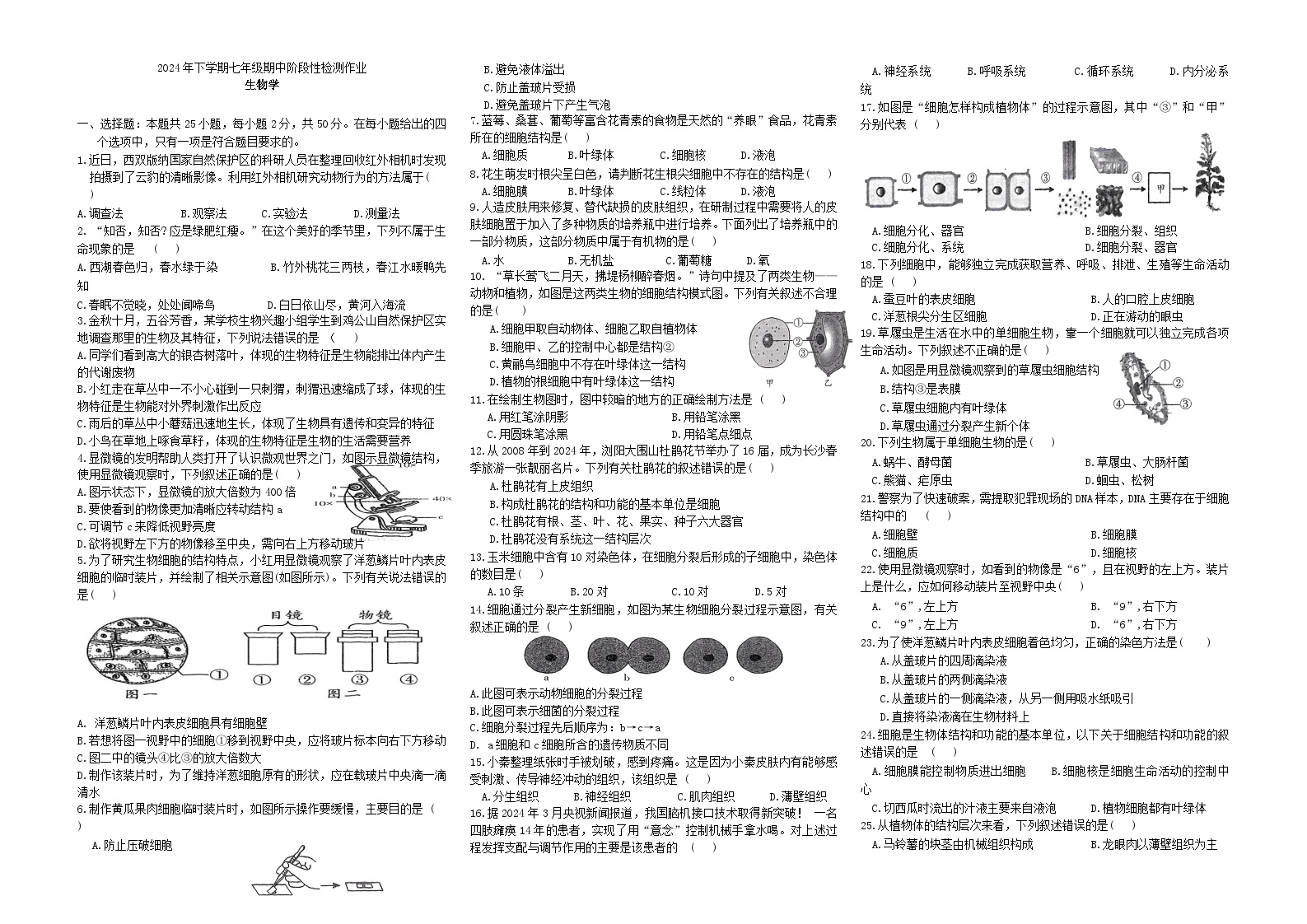 隆回县生物2024年下学期七年级期中阶段性检测作业