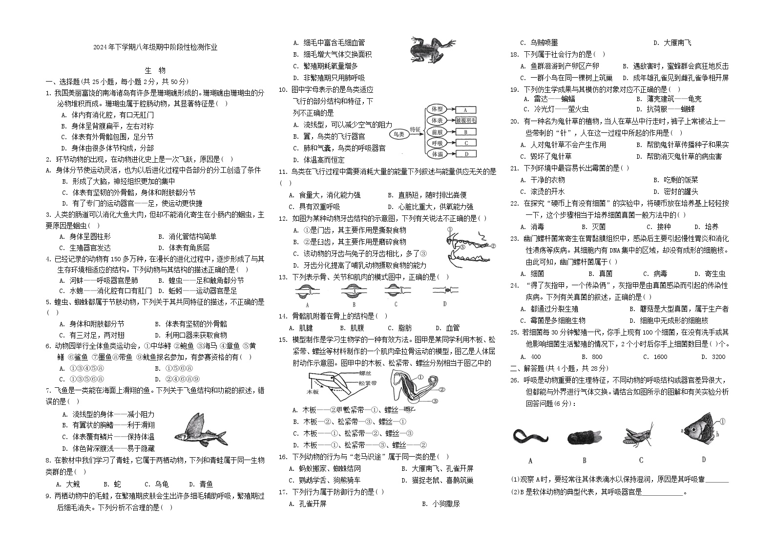 隆回生物2024年下学期八年级期中阶段性检测作业.docx生物思源卷