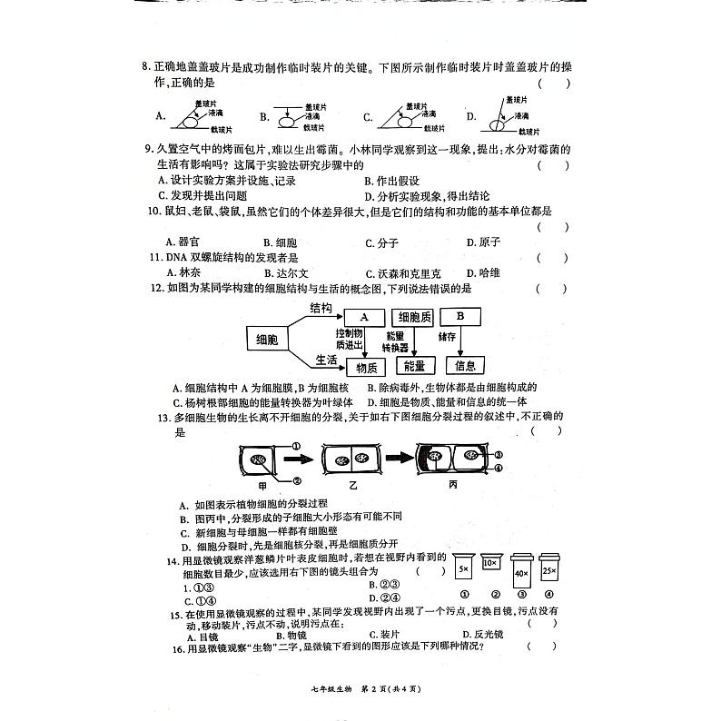 河南省商丘市虞城县2024-2025学年七年级上学期11月期中生物试题02