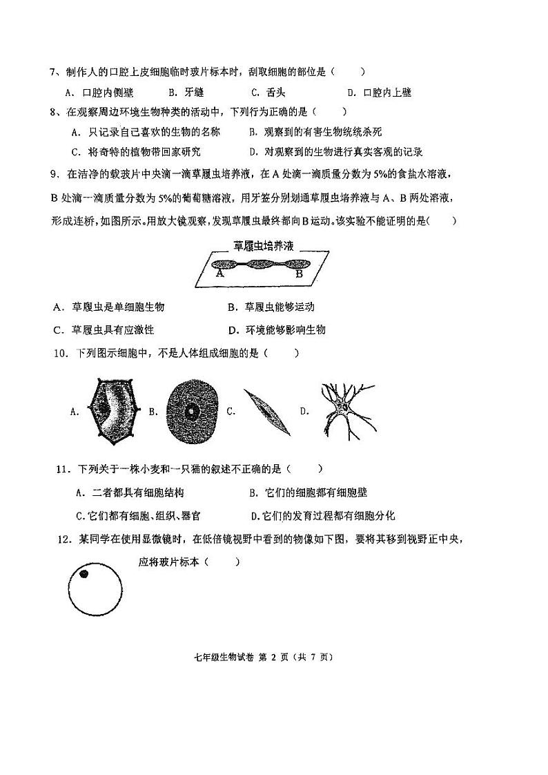福建省福州市立志中学2024-2025学年七年级上学期期中考生物试卷02