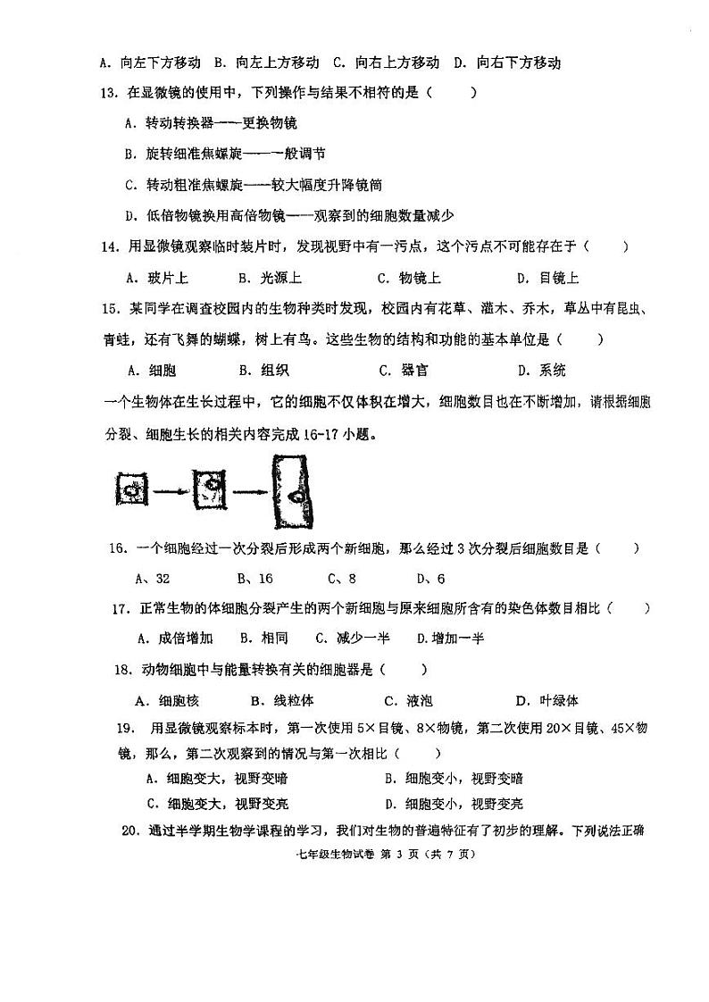 福建省福州市立志中学2024-2025学年七年级上学期期中考生物试卷03