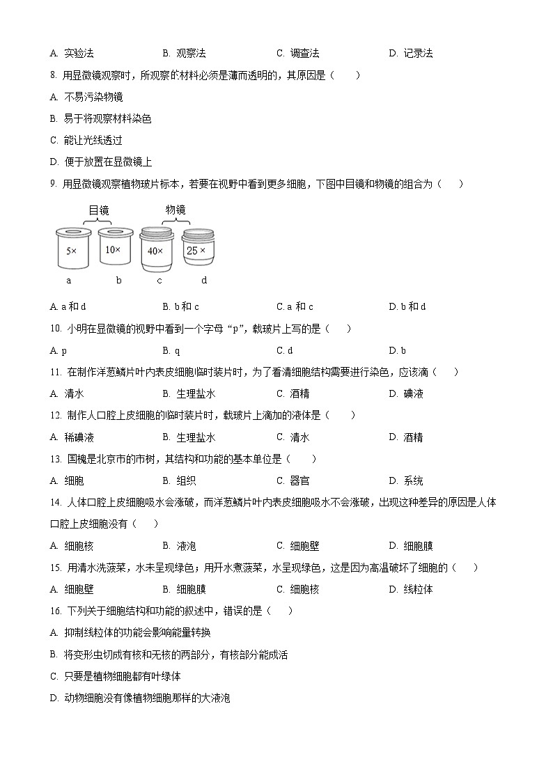 北京市北京师范大学附属中学2024-2025学年七年级上学期期中生物学试题(原卷版)02