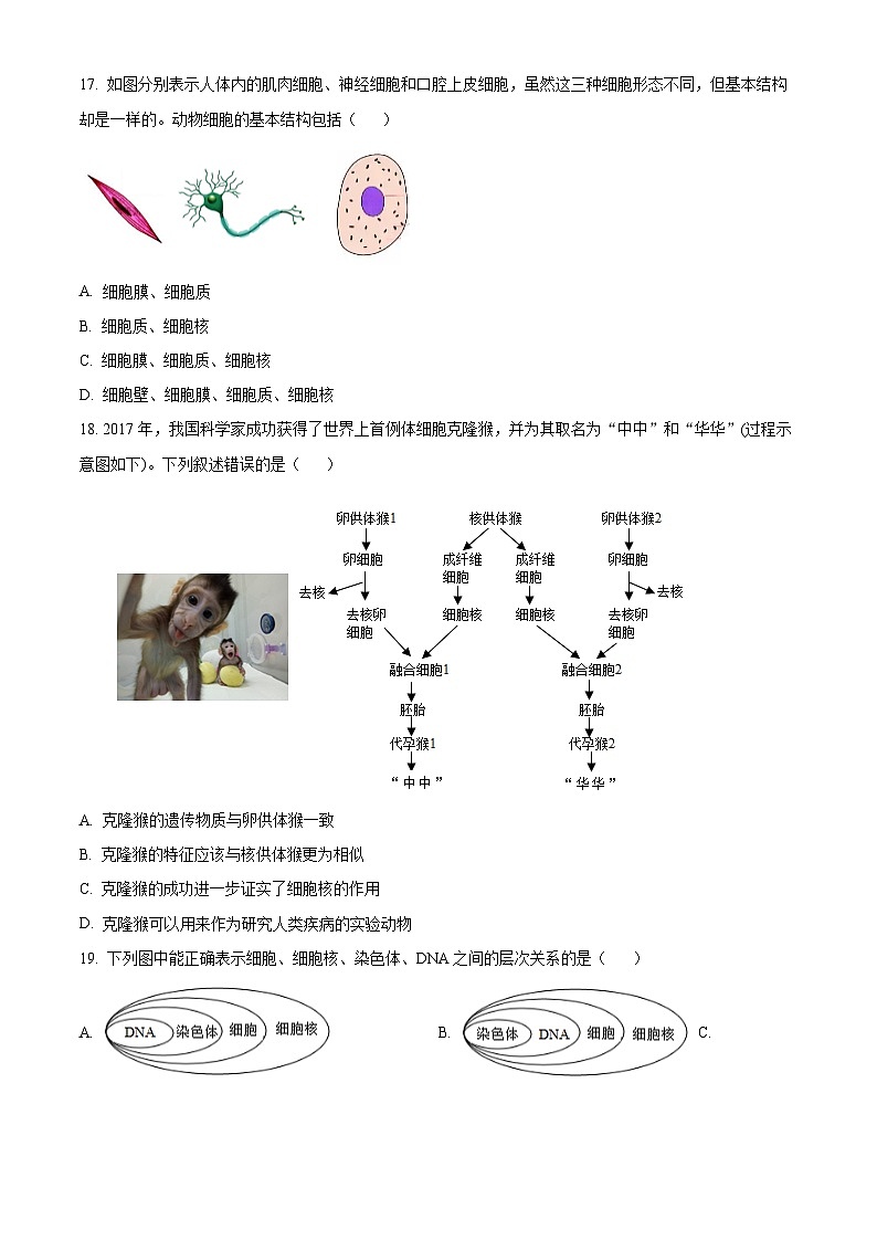 北京市北京师范大学附属中学2024-2025学年七年级上学期期中生物学试题(原卷版)03
