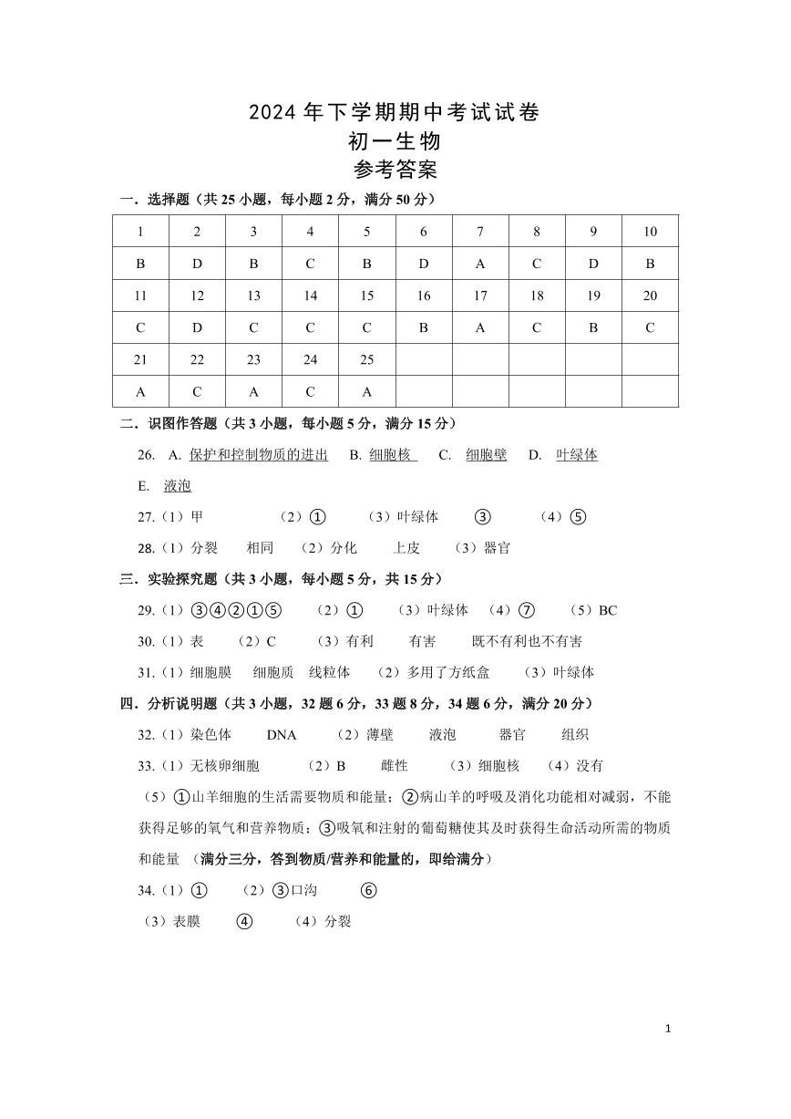 （联考卷答案）湖南师大附中雨花学校2024年下学期期中考试试卷初一生物