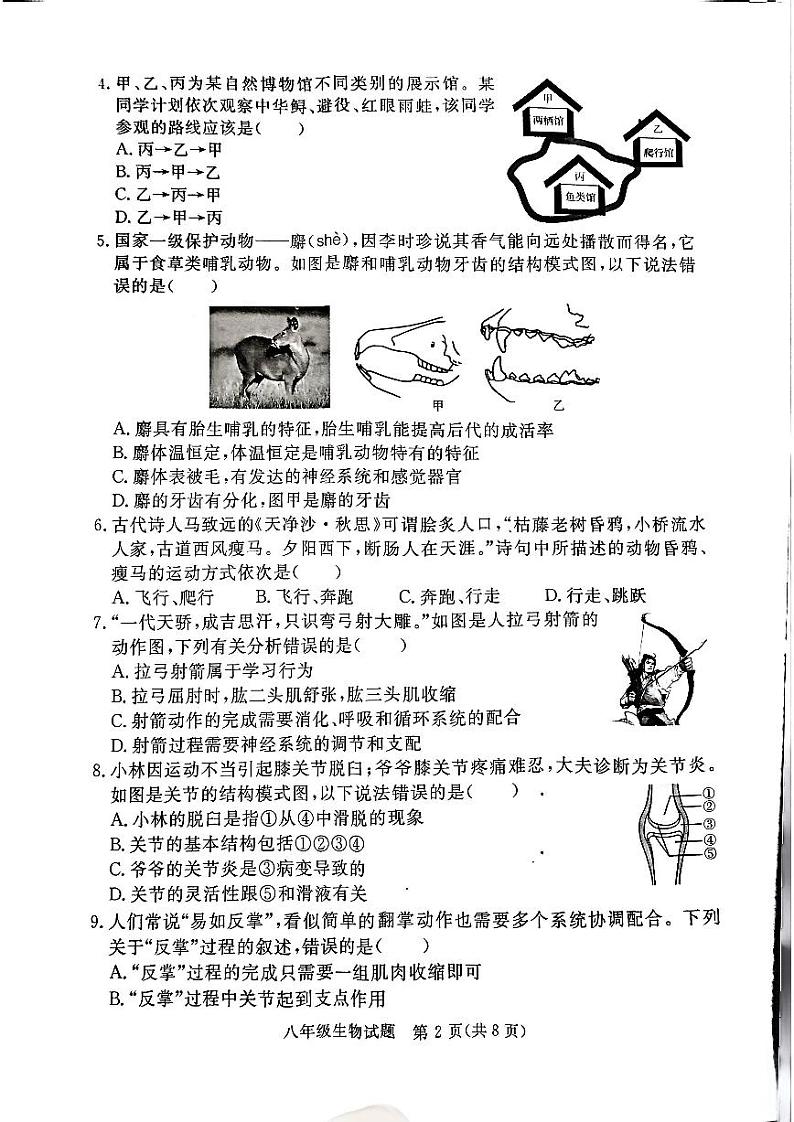 山东省聊城市高唐县2024-2025学年八年级上学期期中考试生物试卷第2页