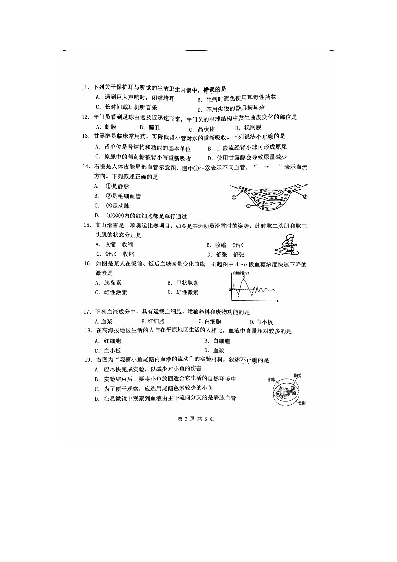江蘇省鎮(zhèn)江市丹徒區(qū)2024-2025學(xué)年八年級上學(xué)期11月期中生物試題第2頁