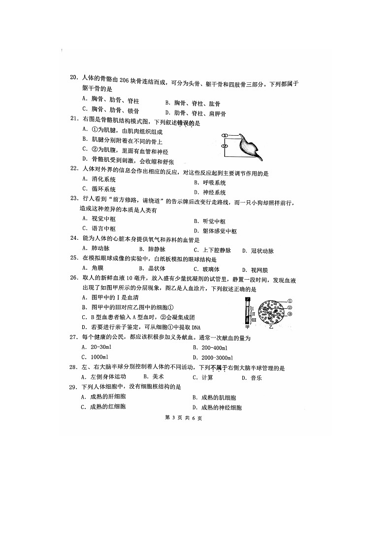 江蘇省鎮(zhèn)江市丹徒區(qū)2024-2025學(xué)年八年級上學(xué)期11月期中生物試題第3頁