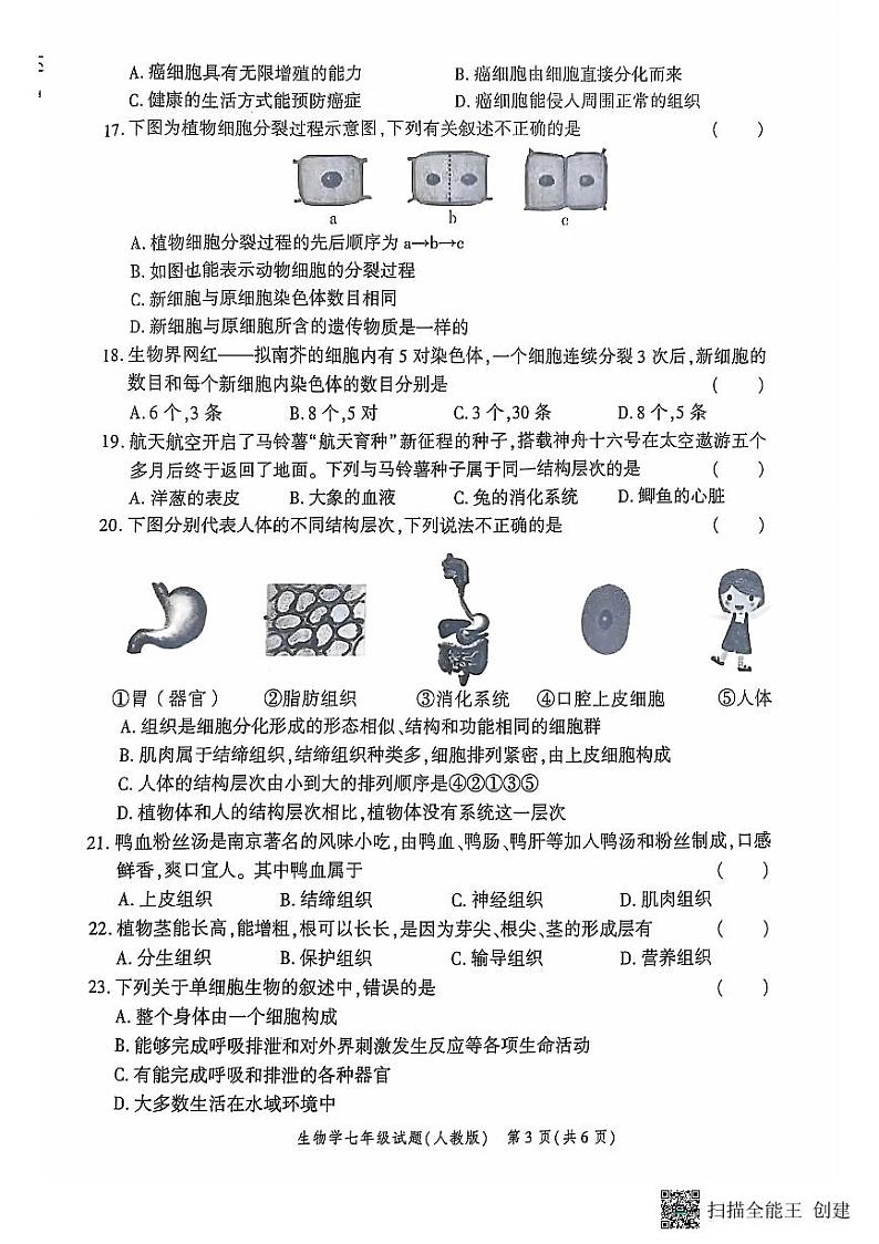 陕西省西安市高陵区2024-2025学年七年级上学期期中学业水平测试生物试卷第3页