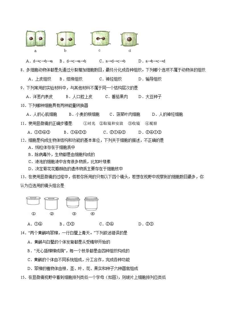陕西省宝鸡市扶风县2024-2025学年七年级上学期期中质量监测生物试题02