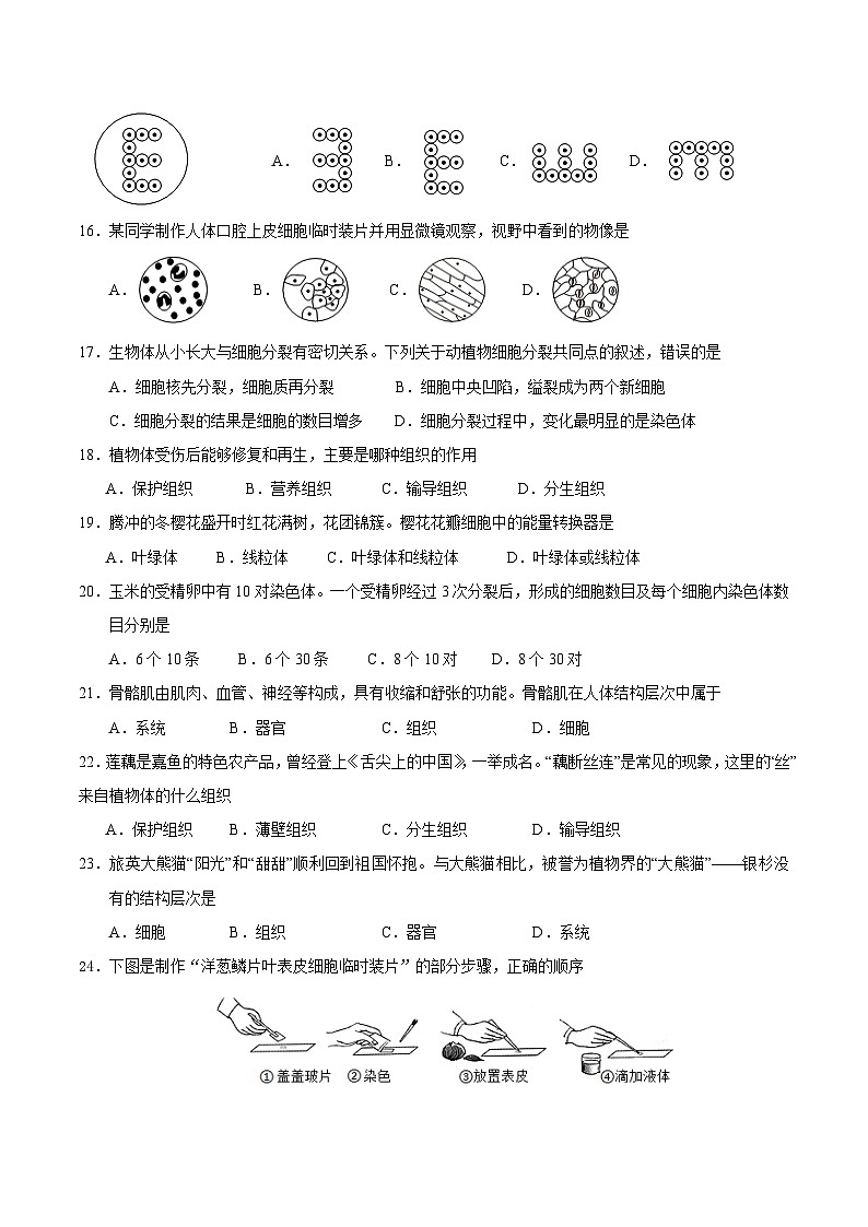 陕西省宝鸡市扶风县2024-2025学年七年级上学期期中质量监测生物试题03
