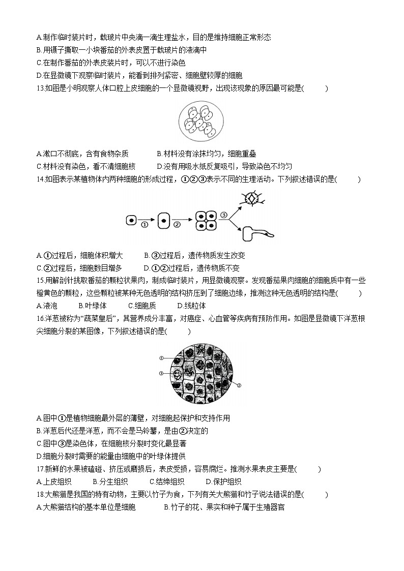 山东省济南市高新区2024-2025学年七年级上学期期中生物试题03