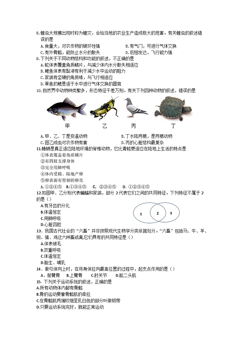 山东省威海市文登区实验中学(五四制)2024-2025学年八年级上学期期中考试生物试题02