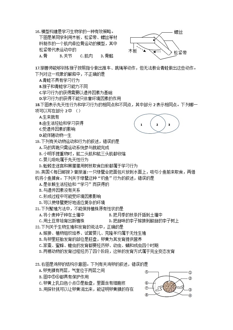 山东省威海市文登区实验中学(五四制)2024-2025学年八年级上学期期中考试生物试题03