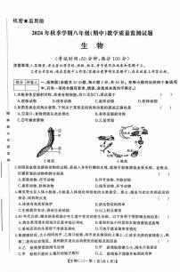 廣西柳州市2024-2025學(xué)年八年級(jí)上學(xué)期期中考試生物試卷