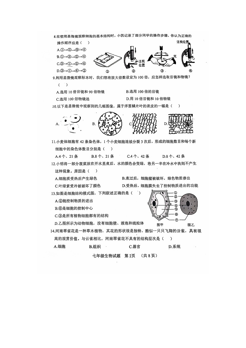 山东省聊城市东阿县2024-2025学年七年级上学期期中考试生物试题02