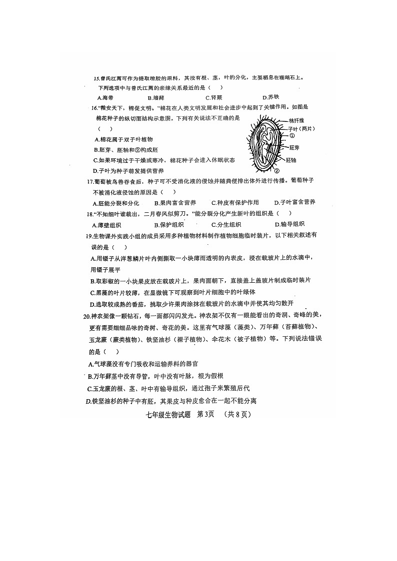 山东省聊城市东阿县2024-2025学年七年级上学期期中考试生物试题03