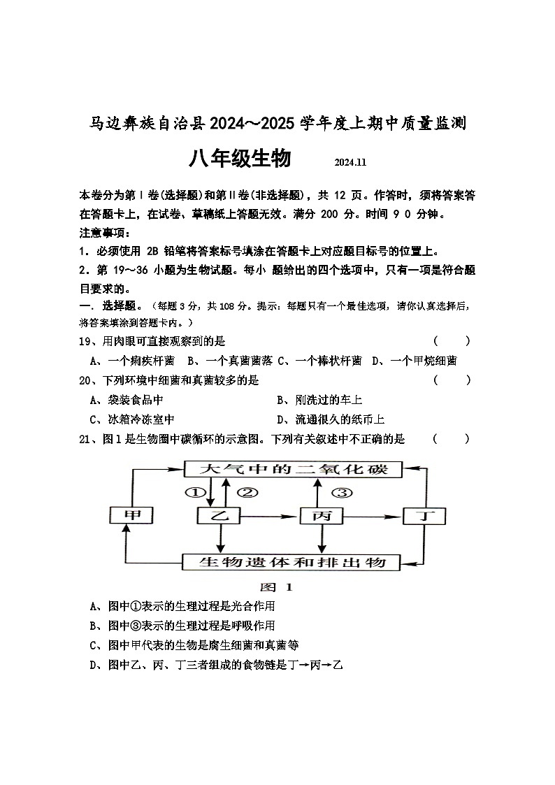 四川省乐山市马边县2024-2025学年八年级上学期期中考试生物试题01