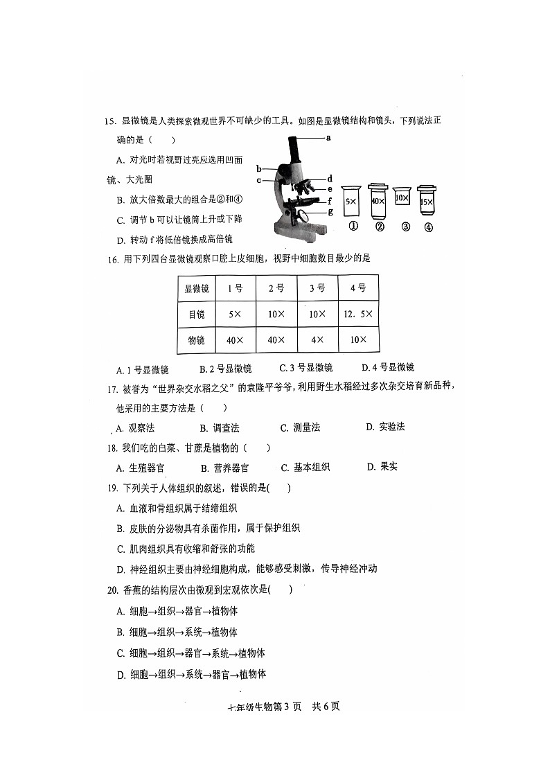 山东省菏泽市郓城县2024-2025学年七年级上学期期中学业水平测试生物试卷03