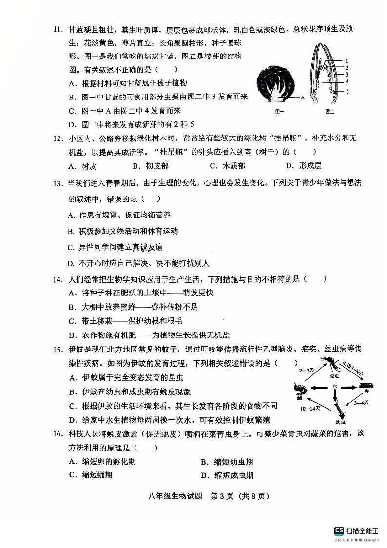 山东省济南市历城区2024-2025学年八年级上学期期中考试生物试题第3页
