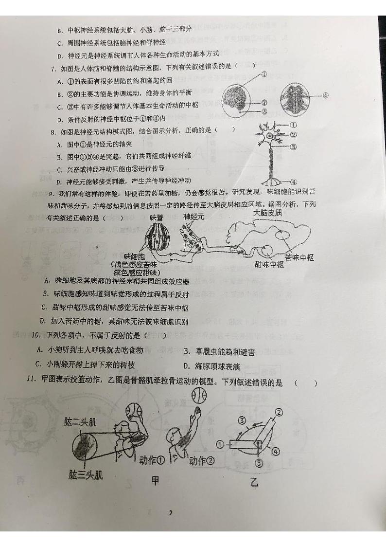 江苏省南通市海门区东洲中学2024-2025学年八年级上学期期中考试生物试卷02