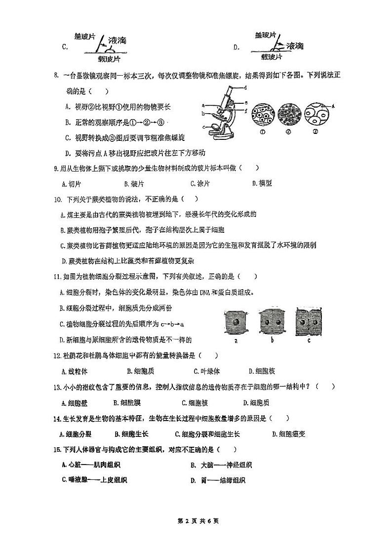 湖南省衡阳市八中教育集团2024-2025学年七年级上期期中检测试生物试卷第2页