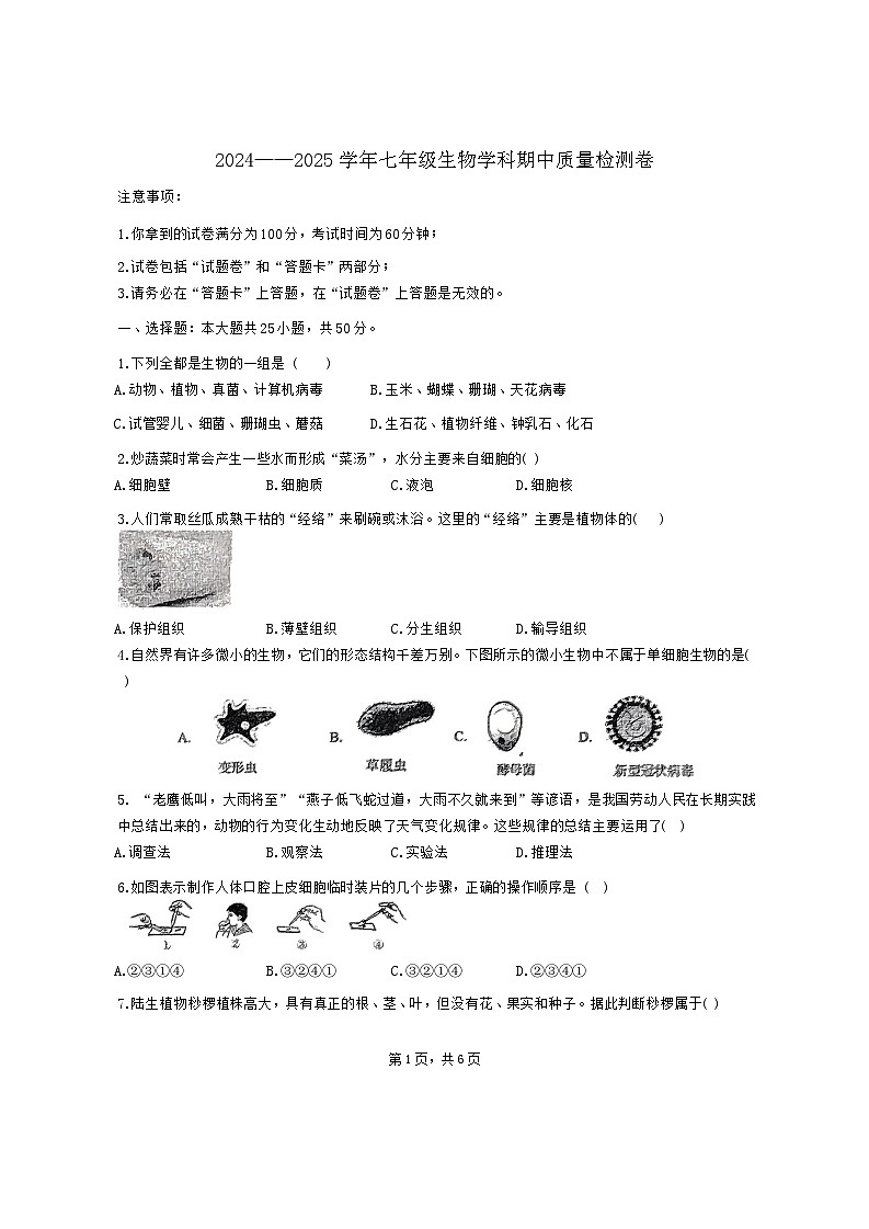 2024——2025学年七年级生物学科期第1页