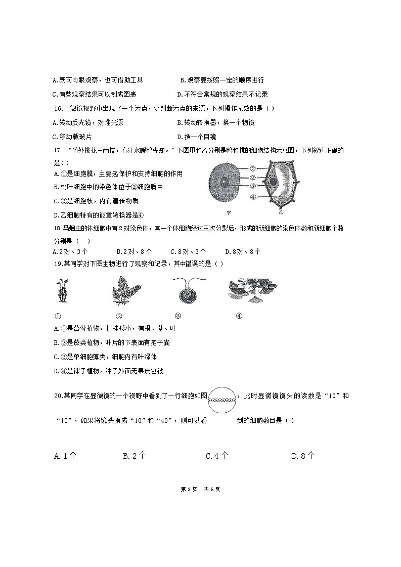 2024——2025学年七年级生物学科期第3页
