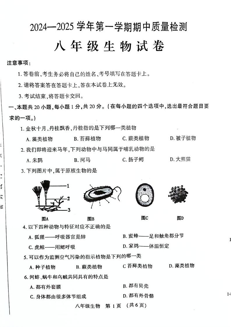 河南省宜阳县2024-2025学年八年级上学期期中考试生物试题含答案第1页