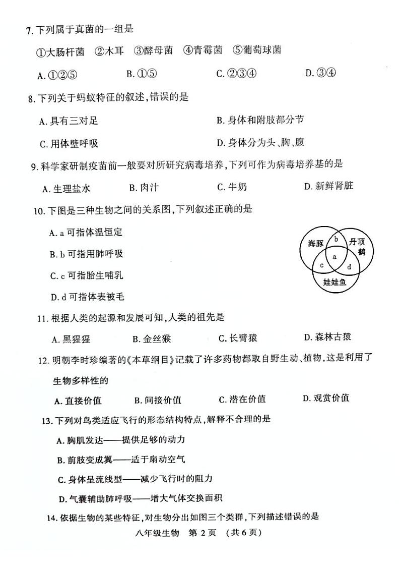 河南省宜阳县2024-2025学年八年级上学期期中考试生物试题含答案第2页