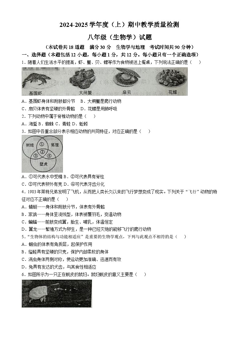 辽宁省营口市2024-2025学年八年级上学期期中生物试题01