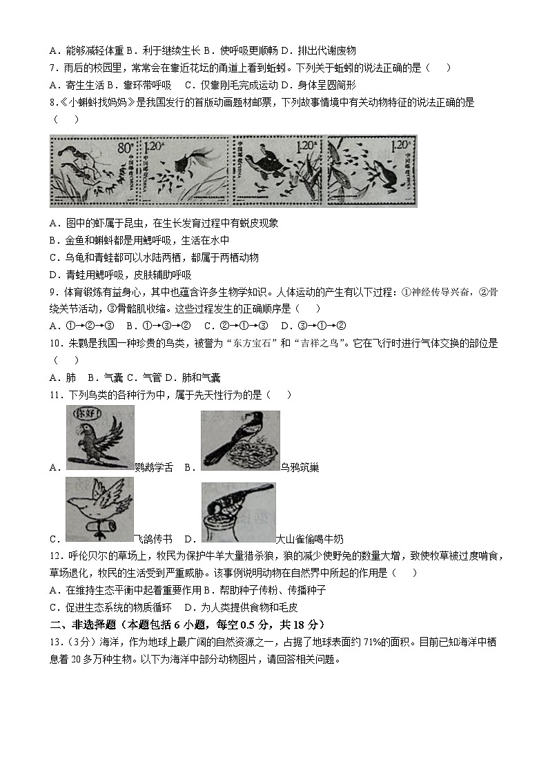 辽宁省营口市2024-2025学年八年级上学期期中生物试题02