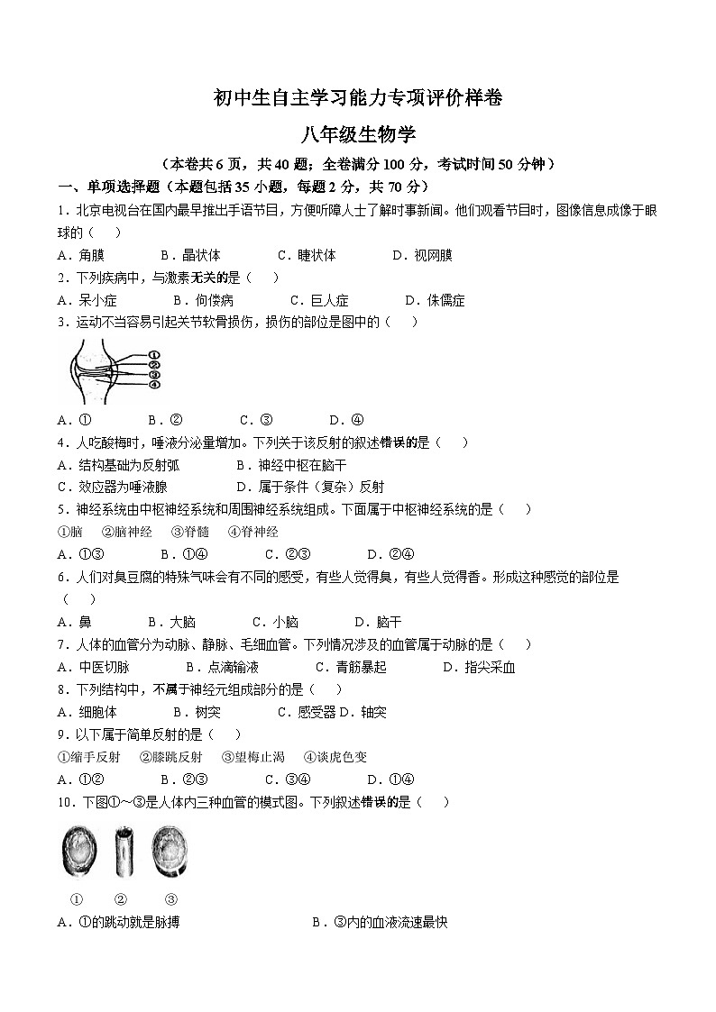 江蘇省鎮(zhèn)江市丹徒區(qū)2024-2025學年八年級上學期期中生物試題(無答案)第1頁