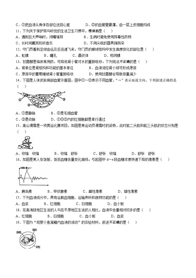 江蘇省鎮(zhèn)江市丹徒區(qū)2024-2025學年八年級上學期期中生物試題(無答案)第2頁