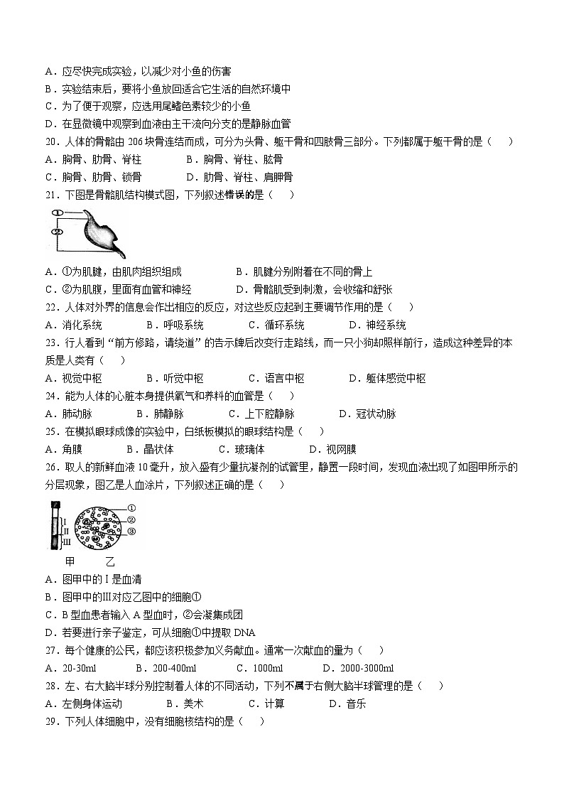 江蘇省鎮(zhèn)江市丹徒區(qū)2024-2025學年八年級上學期期中生物試題(無答案)第3頁