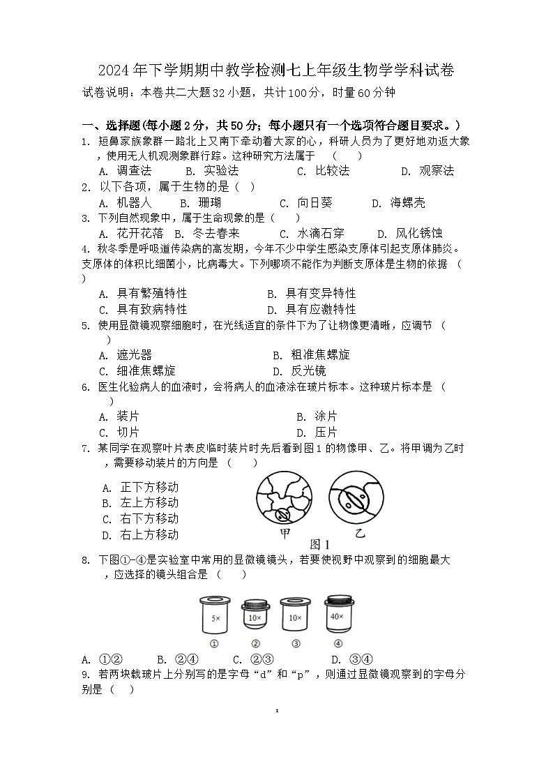 湖南省衡阳市四校2024-2025学年七年级上学期11月期中考试生物试题第1页