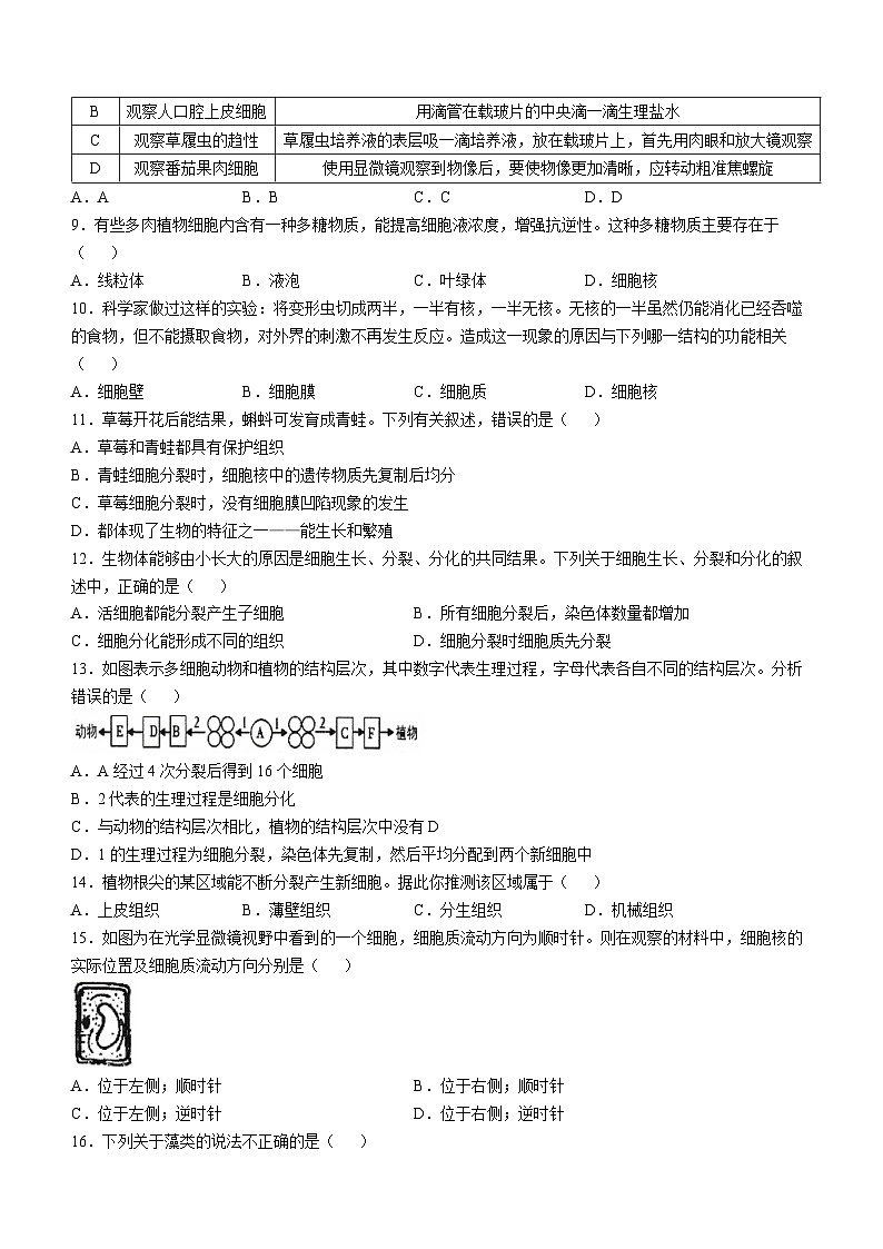 湖南省常德市澧县2024-2025学年七年级上学期期中生物试题第2页