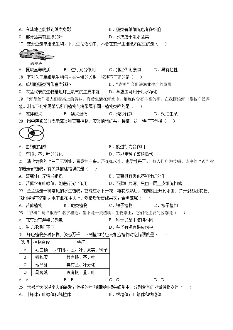 湖南省常德市澧县2024-2025学年七年级上学期期中生物试题第3页