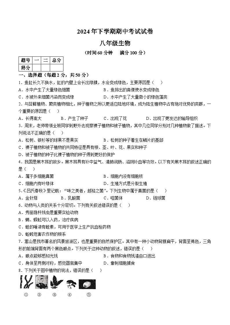 湖南省常德市澧县2024-2025学年八年级上学期期中生物试题第1页