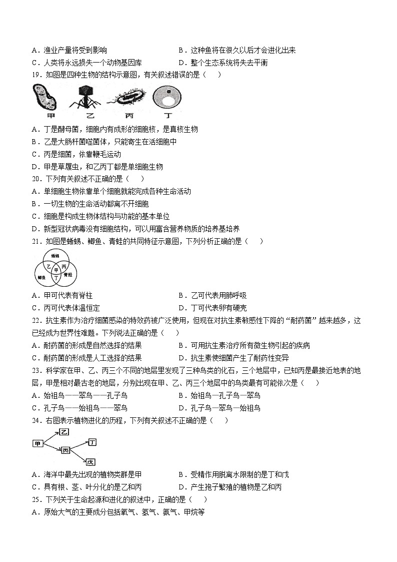 湖南省常德市澧县2024-2025学年八年级上学期期中生物试题第3页
