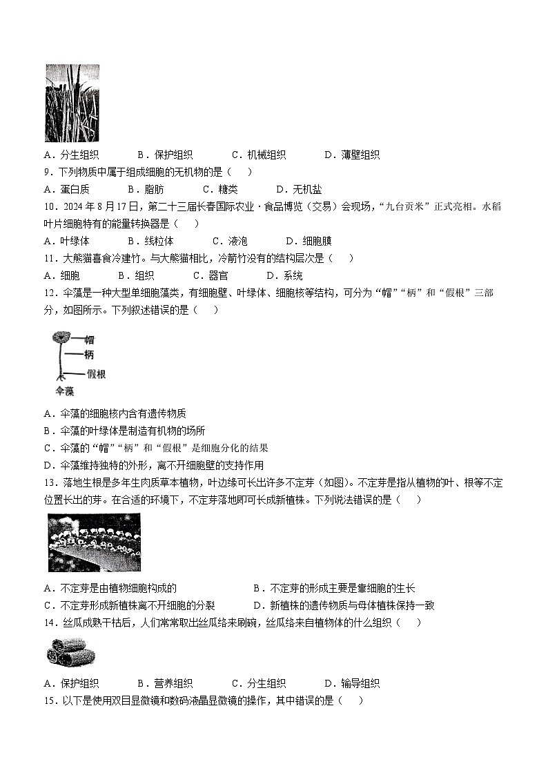 河南省信阳市淮滨县2024-2025学年七年级上学期期中生物试题(无答案)第2页